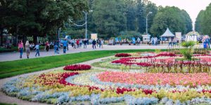 Специалисты сдадут большую часть парковых территорий ко Дню города, который традиционно отмечается в сентябре. Фото: mos.ru