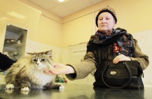 Москвичам посоветовали провести вакцинацию домашних животных. Фото: Наталия Нечаева, «Вечерняя Москва»