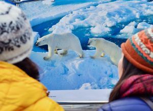 Московских школьников пригласили поучаствовать в Большой арктической экспедиции . Фото: сайт мэра Москвы