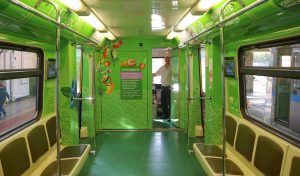 Поезд «Здоровая Москва» запустили на Кольцевой линии метро. Фото: официальный сайт мэра Москвы