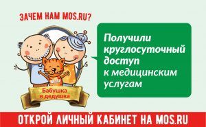 Записать своего питомца на прием к ветеринару можно на сайте мэра Москвы