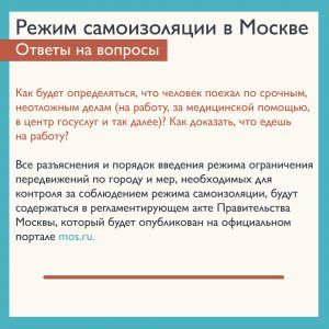 Жителям Москвы порекомендовали иметь при себе паспорт при выходе из дома