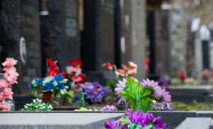 В Москве введены ограничения на посещение кладбищ из-за коронавируса. Фото: сайт мэра Москвы