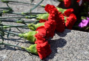 Ученики школы №345 возложили цветы к памятнику 7-й Бауманской дивизии. Фото: Анна Быкова, «Вечерняя Москва»