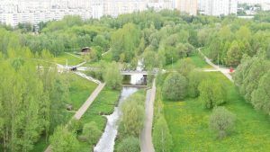 Депутат Мосгордумы Игорь Бускин: Москва остается одним из самых зеленых мегаполисов мира