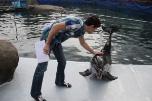 Сотрудники «Школы на Яузе» запустили викторину ко Дню дельфинов. Фото: архив, «Вечерняя Москва»