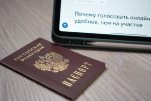 Общественный штаб: тестовое голосование перед выборами в МГД прошло успешно. Фото: Анна Быкова, «Вечерняя Москва»