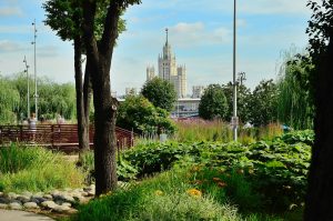 Финал Кубка мэра Москвы по стендовой стрельбе пройдет 24–25 мая. Фото: Анна Быкова, «Вечерняя Москва»