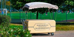 Предприниматели смогут открыть точки по продажи мороженного в районе. Фото: сайт мэра Москвы