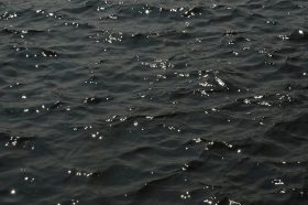 21 июня в Москве пройдет фестиваль на воде «Две реки». Фото: Анна Быкова, «Вечерняя Москва»