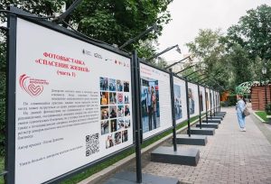 Новая фотовыставка открылась в саду имени Н.Э. Баумана. Фото: страница Молодежной палаты Тверского района в социальных сетях