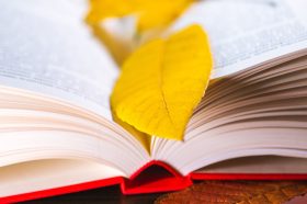 День открытых дверей: участниками акции будет библиотека имени Николая Некрасова. Фото: сайт мэра Москвы