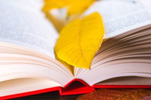 День открытых дверей: в программе примет участие библиотека имени Николая Некрасова. Фото: сайт мэра Москвы