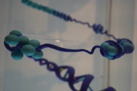 Биоинформатики НИУ ВШЭ приняли участие в новом исследование. Фото: Анна Быкова, «Вечерняя Москва»