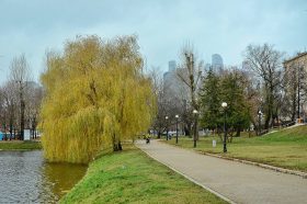 «Усадьбы Москвы»: осенние прогулки по району доступны москвичам и туристам. Фото: Анна Быкова, «Вечерняя Москва»
