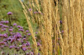 Экологический мастер-класс состоится в библиотеке №18. Фото: Анна Быкова, «Вечерняя Москва»