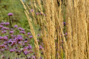 Экологический мастер-класс состоится в библиотеке №18. Фото: Анна Быкова, «Вечерняя Москва»