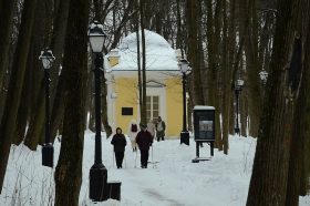 О влиянии прогулок в парке на человека рассказали ученые НИУ ВШЭ. Фото: Анна Быкова «Вечерняя Москва»