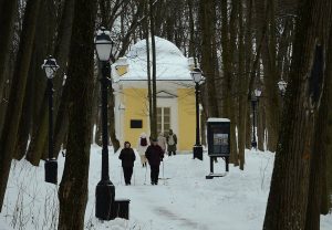 О влиянии прогулок в парке на человека рассказали ученые НИУ ВШЭ. Фото: Анна Быкова «Вечерняя Москва»