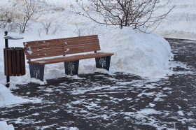 Жителей района пригласили на обход территории. Фото: Анна Быкова, «Вечерняя Москва»