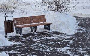 Жителей района пригласили на обход территории. Фото: Анна Быкова, «Вечерняя Москва»