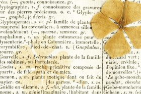 «Тайны старых коллекций» раскроют на выставке в ГПИБ. Фото: Отдел библиотечного маркетинга ГПИБ России