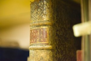 Лекция об истории редких книг состоится в ГПИБ. Фото: Отдел библиотечного маркетинга ГПИБ России.