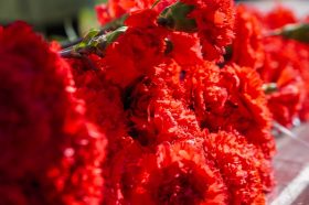 Патронатную акцию проведут в районе. Фото: Ксения Догонашева, «Вечерняя Москва»