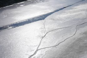 Путешествие за полярный круг проведут в библиотеке №20. Фото: Путешествие за полярный круг проведут в библиотеке №20