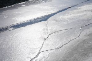 Путешествие за полярный круг проведут в библиотеке №20. Фото: Путешествие за полярный круг проведут в библиотеке №20